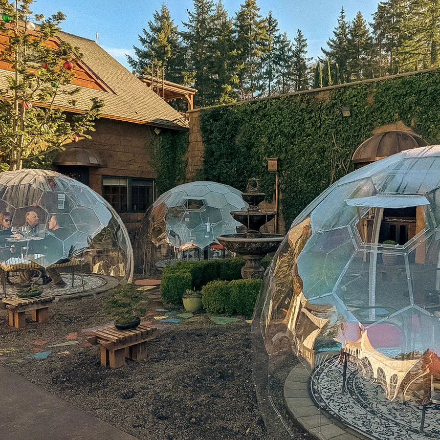 Tilted windows in geodomes