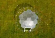 All Hail the Dome: Hypedome More Than Makes Par on the Golf Course Hail-resistance Test