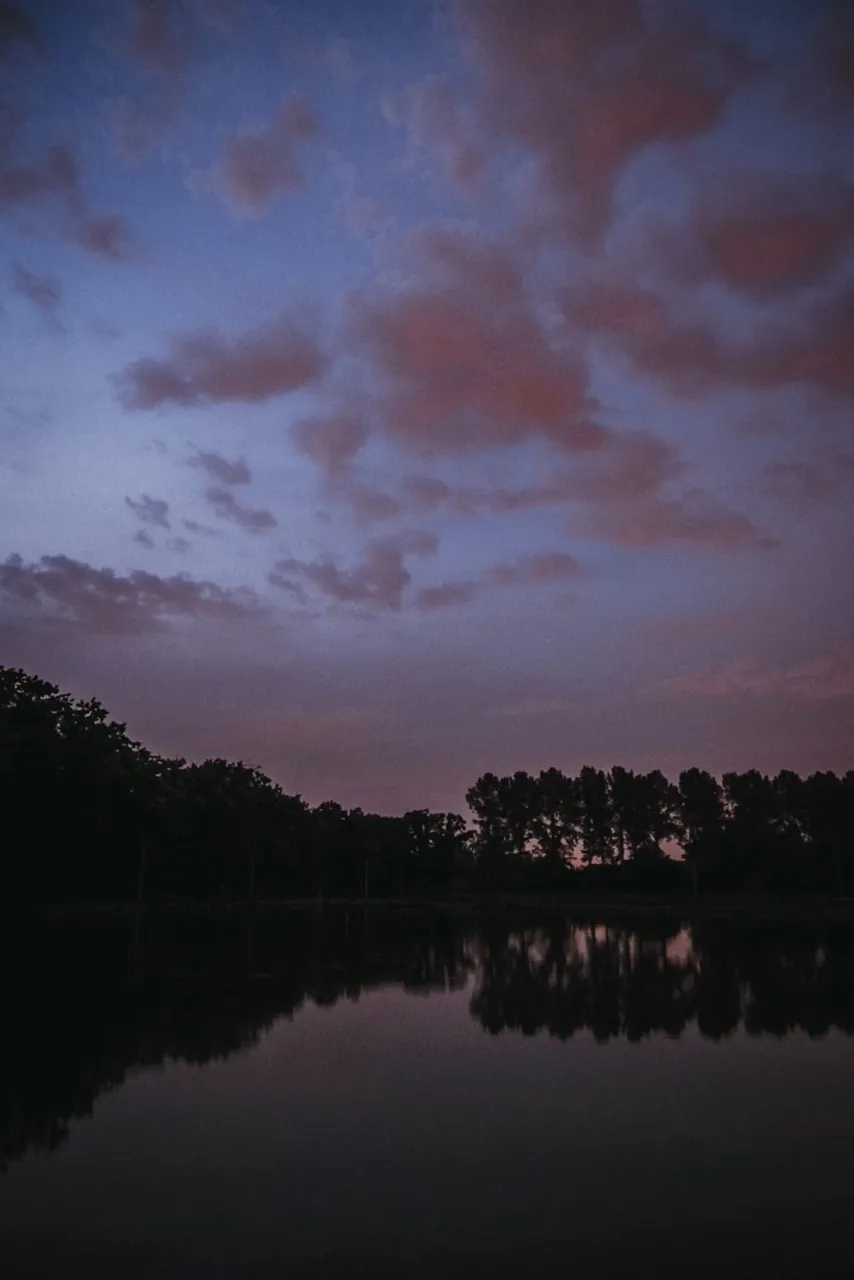 A view of the beautiful sky by night at Rik's glamping retreat