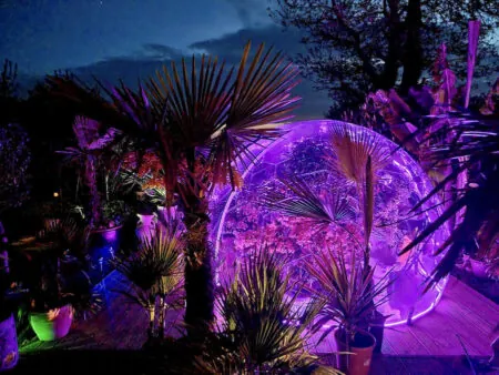 A tropical greenhouse dome by night