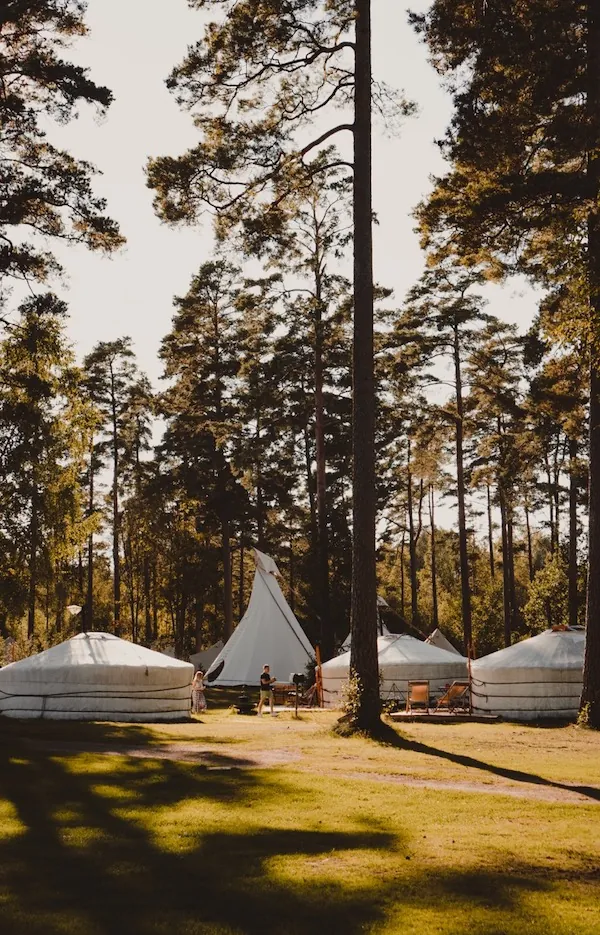 Eco village in the woods