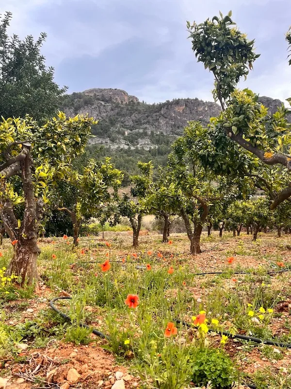 Eco village's beautiful landscape