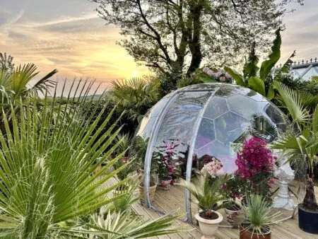 A tropical conservatory in a garden pod created with biophilic design in mind