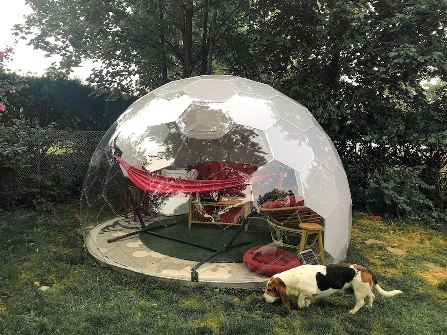 Cece's backyard dome