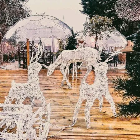 Outdoor dining space of a restaurant, featuring dining dome and light reindeer decorations