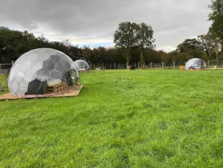 Setting up glamping pricing depends on location - here the glamping domes are surrounded by lush greenery
