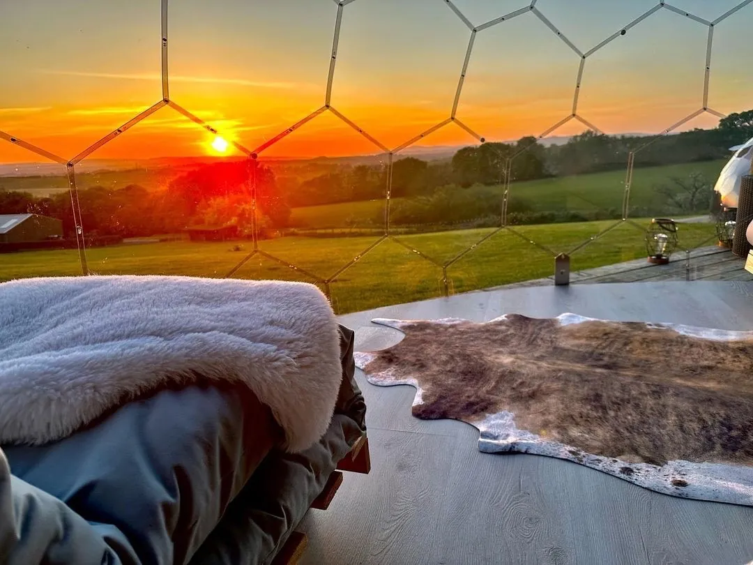 Sleeping under the stars in the garden dome