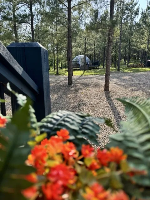 Hypedome stargazing dome seen from the Misty Bleu Cabin