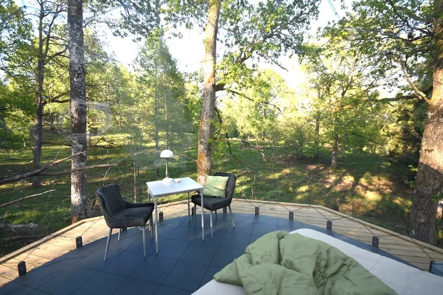 A beautiful view on the forest from the outdoor bedroom dome