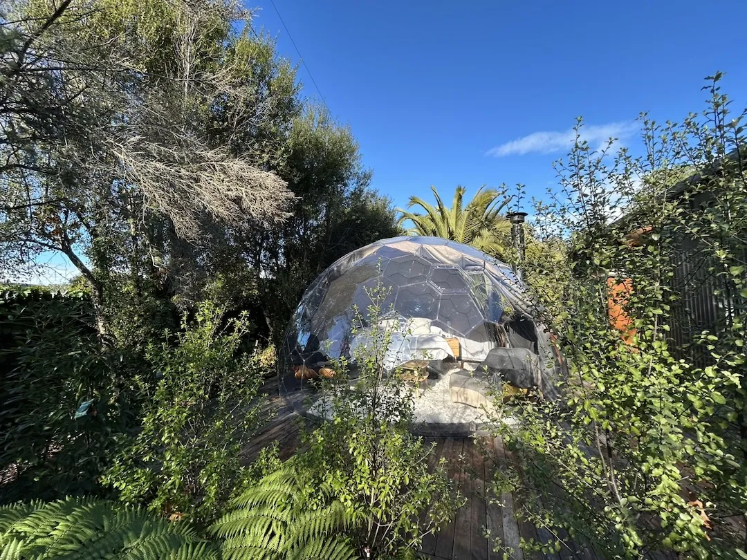 A beautiful dome in backyard