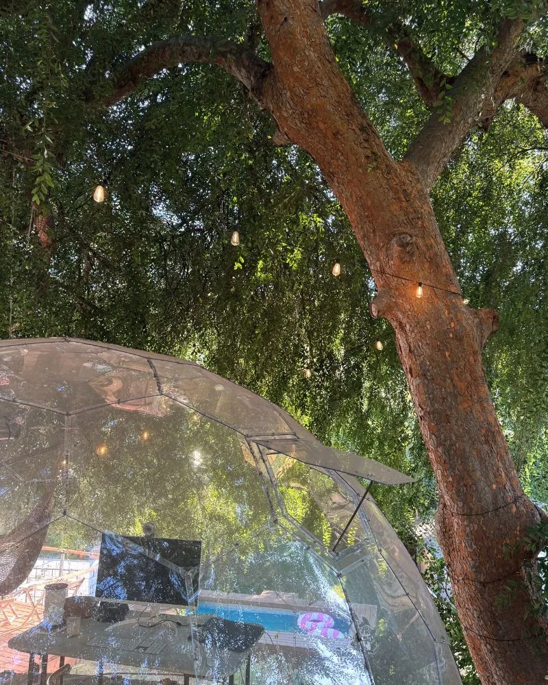 A clear dome under the tree