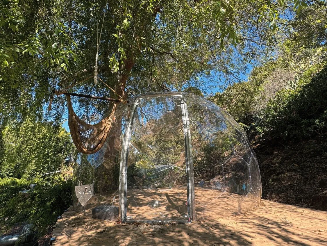 Clear Hypedome on the deck under the tree