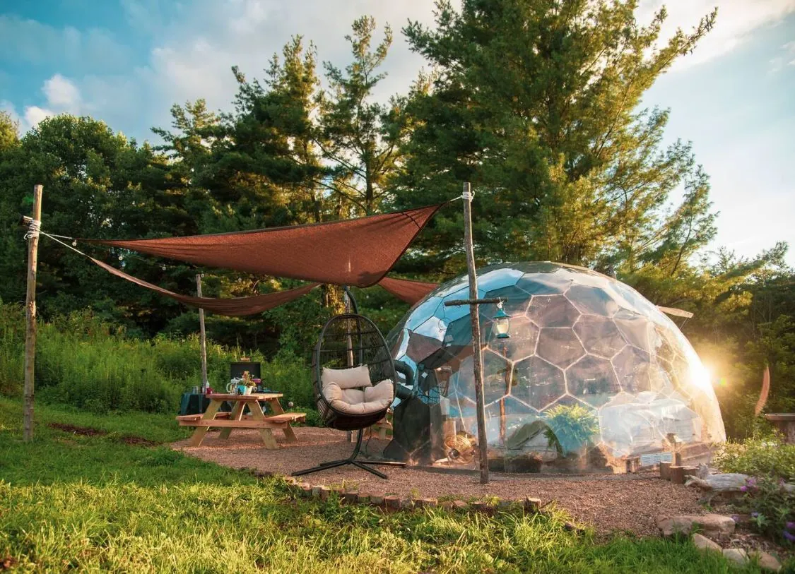 How to start a glamping business in scenic woodland locations