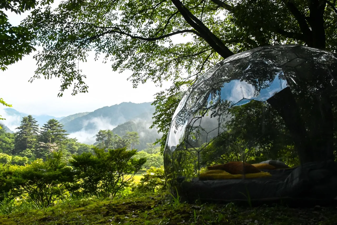 A glamping dome with the view