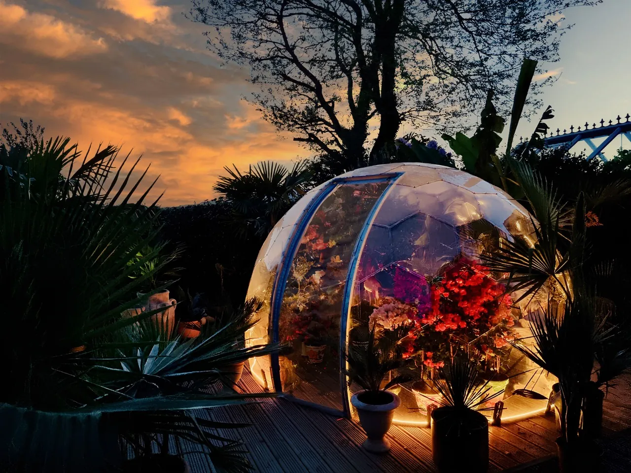 Backyard Hypedome creating a versatile outdoor room